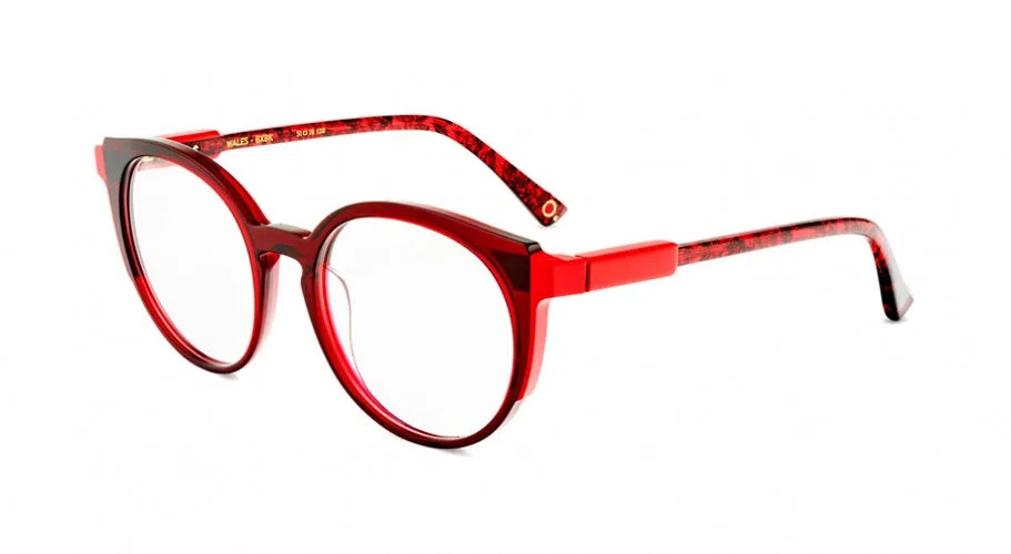 Etnia Barcelona WALES Eyeglasses - view 6